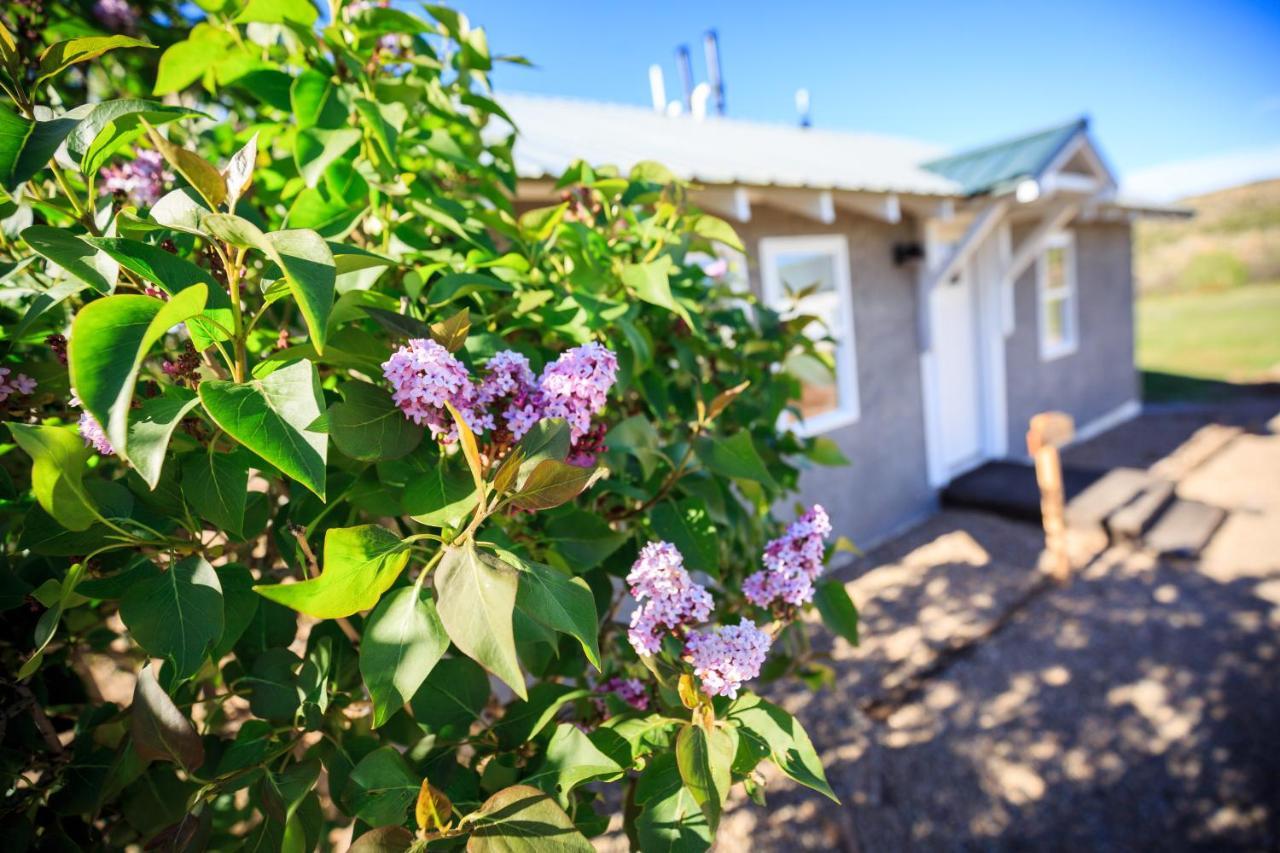 Hillside Colorado Cottages Екстериор снимка