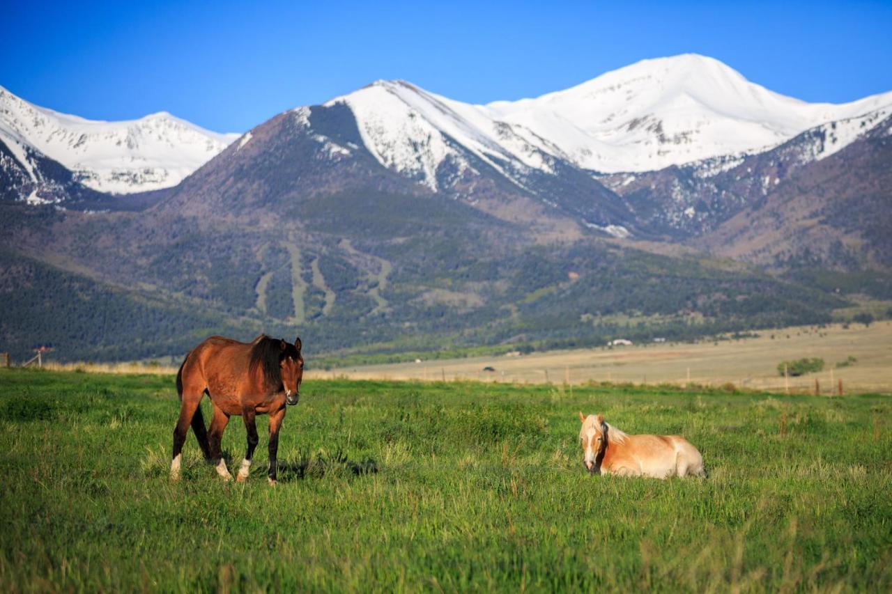 Hillside Colorado Cottages Екстериор снимка